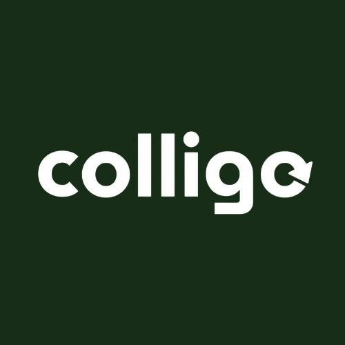 Logo Colligo Solutions